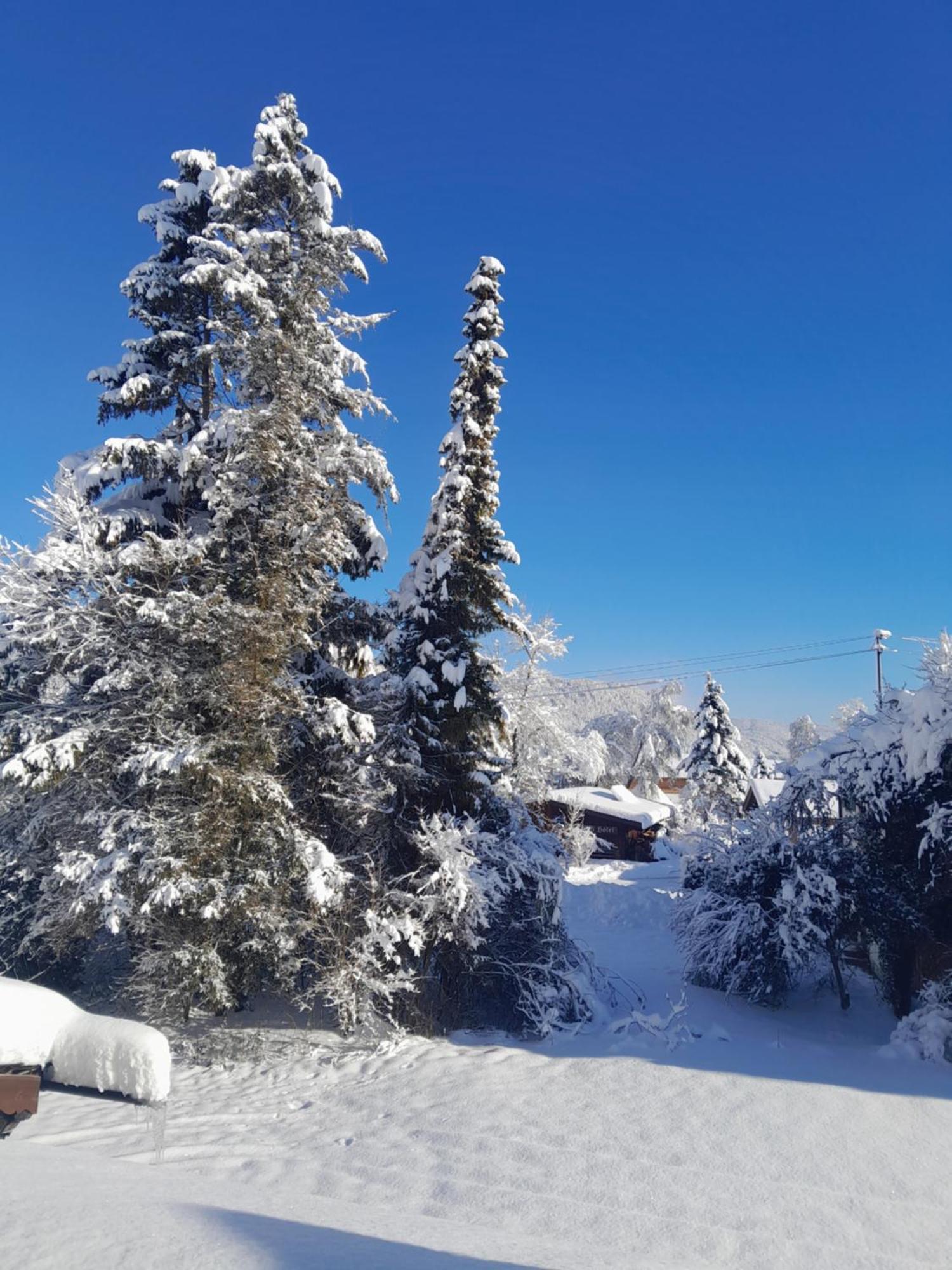 Gaestehaus Zunterer Wallgau Dış mekan fotoğraf